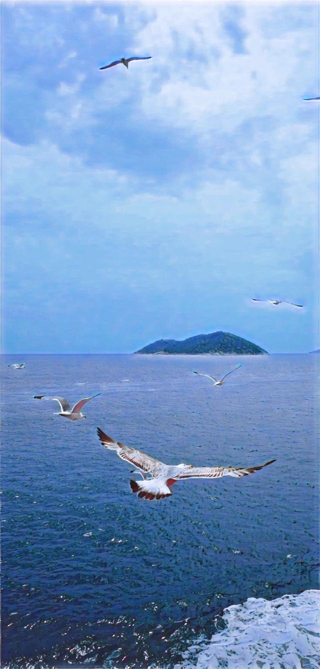 精选手机壁纸第213期 新海诚风格壁纸 Zh中文网