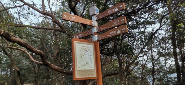 杭州登山徒步路線17：野路有趣，但不建議盲目去爬