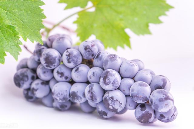 孕期不想做“黄脸婆”，多吃这几种水果，让你的皮肤越来越好