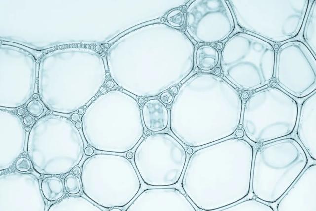 科普 | 认识它很重要！人体的保镖“免疫细胞”