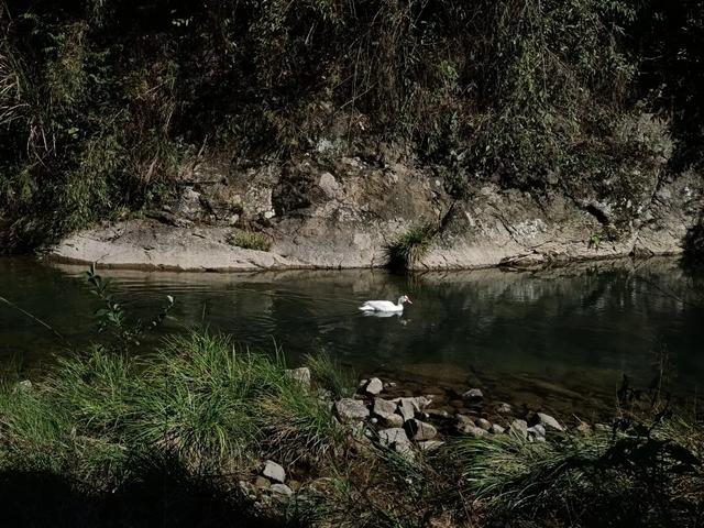慶元村落｜壩頭村 · 千年古村藏深閨 靜候貴客探新顔