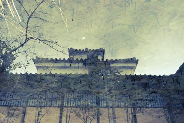 冬至日赏 冬至日独游吉祥寺 欣赏完你会外出独游吗 全网搜