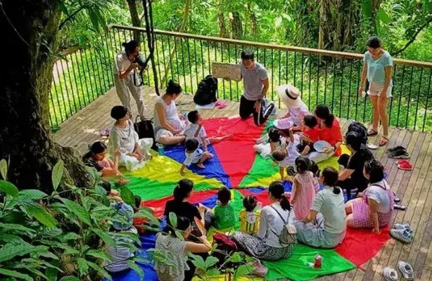 一座舊學校改造的木藝民宿，庭院玻璃湯泉、手工木作、溯溪撈魚