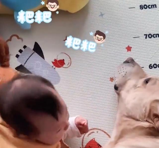 江苏一萌娃第一次喊“爸爸”，却是对着狗狗喊，爸爸心里五味杂陈