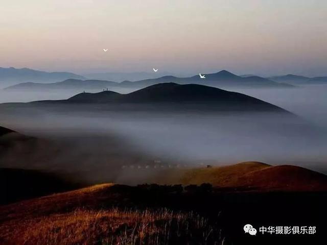 太美了！金奖摄影作品欣赏——