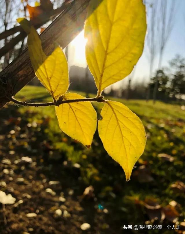 我帮儿子战胜了厌学，走出了抑郁的低谷