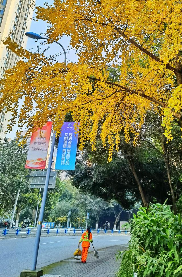 文章图片2