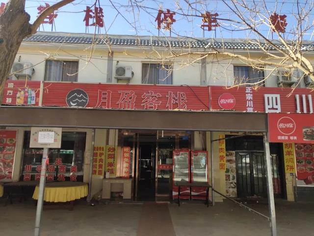 這只小狗在敦煌，等了你整整兩年