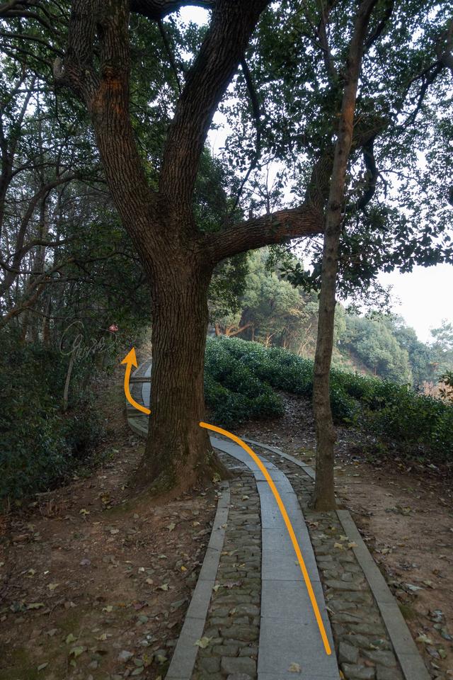 杭州登山徒步路線17：野路有趣，但不建議盲目去爬