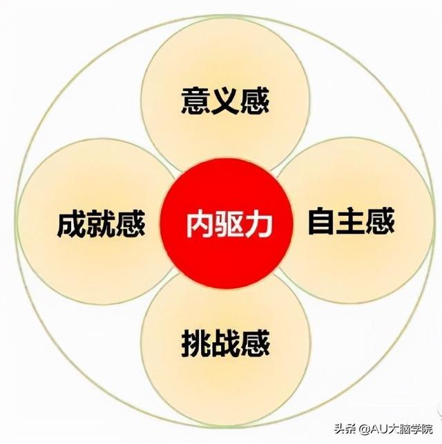 AU小绿罐提醒：注意力系统在大脑内部的工作原理是什么？