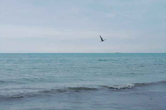 倒淌河：冷淚涓涓成流水