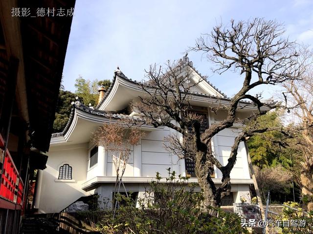 德村志成：落葉殘楓依然美麗，久違北小金本土寺