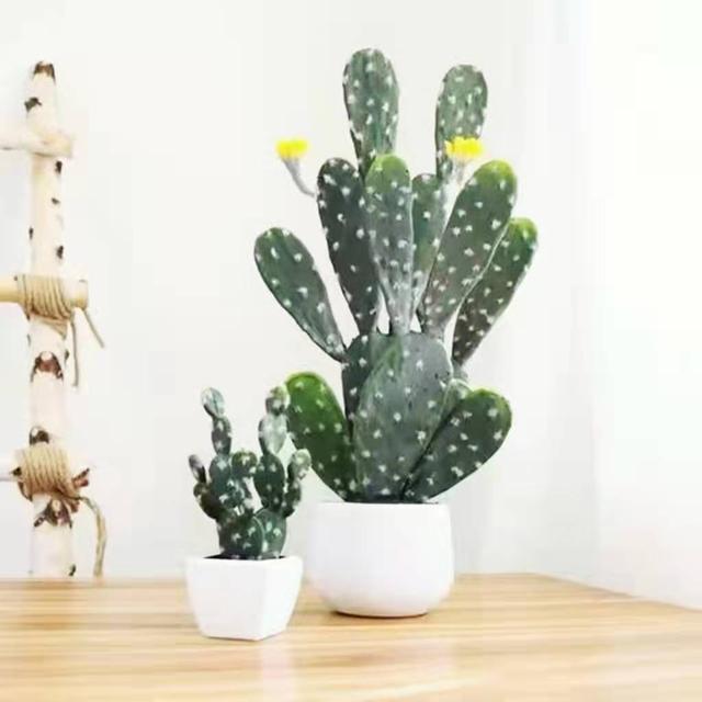 眼睛干涩，疲劳，简单几个小妙招，养好眼睛更清澈