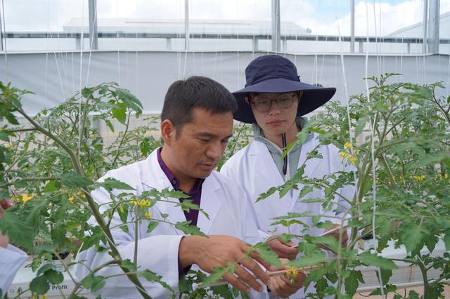 拼多多CEO陈磊解读财报：培养和提拔年轻人才 重研发