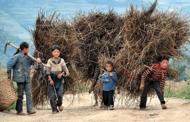 三孩政策内卷袭来，农村的你还敢再多生吗？