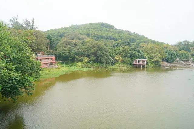深圳8個免費旅行景點，你去過幾個？
