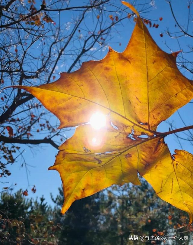 我帮儿子战胜了厌学，走出了抑郁的低谷