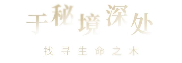 共赴LONG BAR秘境，探尋生命之樹