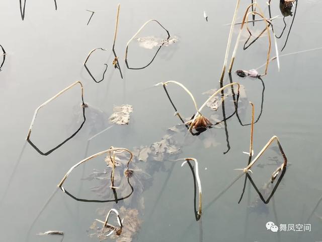 房山牛口峪濕地公園，沒想到風景如此優美