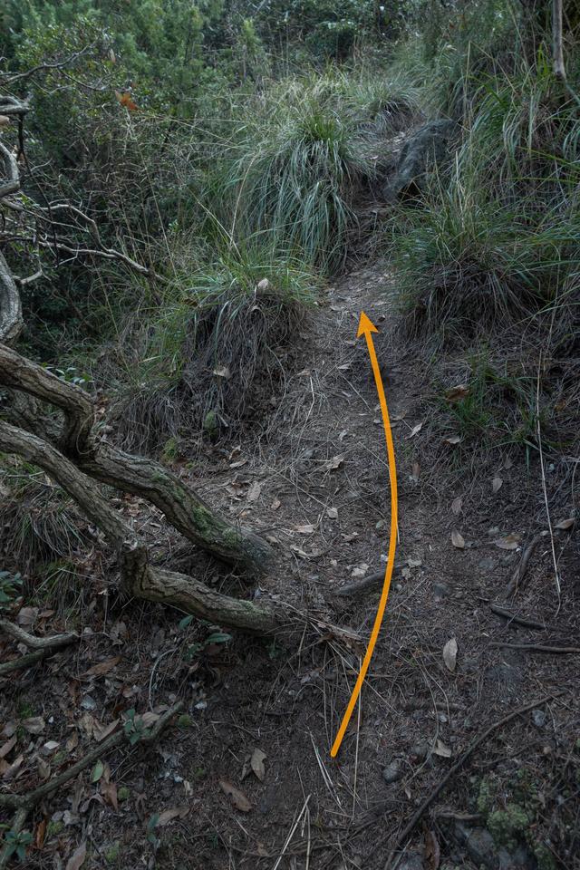 杭州登山徒步路線17：野路有趣，但不建議盲目去爬