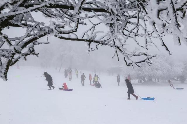 冬天的仙女山...現實版的冰雪奇緣，美爆了