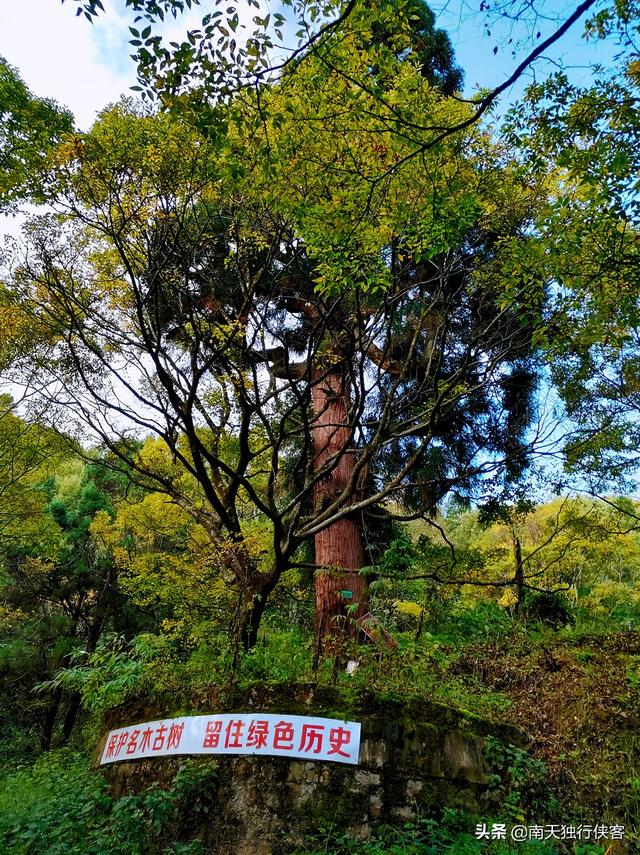 攀登昆明的昆侖山-梁王山，可遠觀滇池、撫仙湖、陽宗海、星雲湖