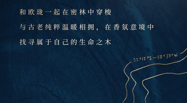 共赴LONG BAR秘境，探尋生命之樹