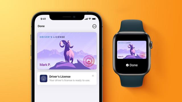 iOS 15：添加驾照到iPhone，推迟到 2022 年初发布