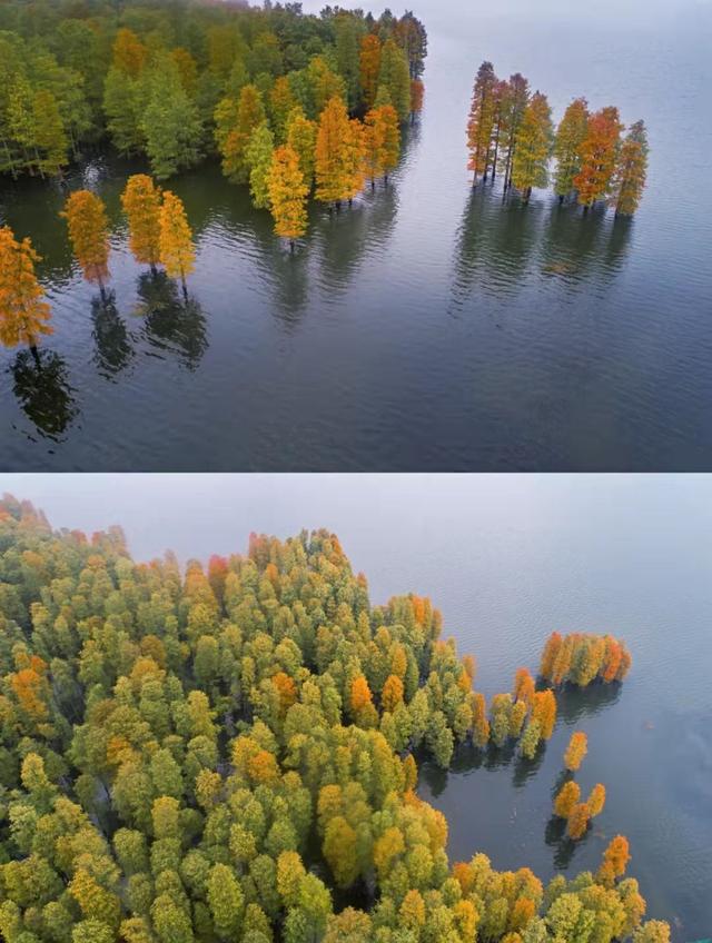 甯波冬季出遊攻略，這三處撩動心弦的美麗風景，疫情過後一起去看