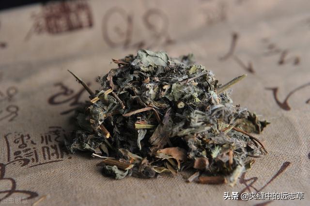 结石？送你三味中药，清热利湿，散结消石，不来了解下吗？