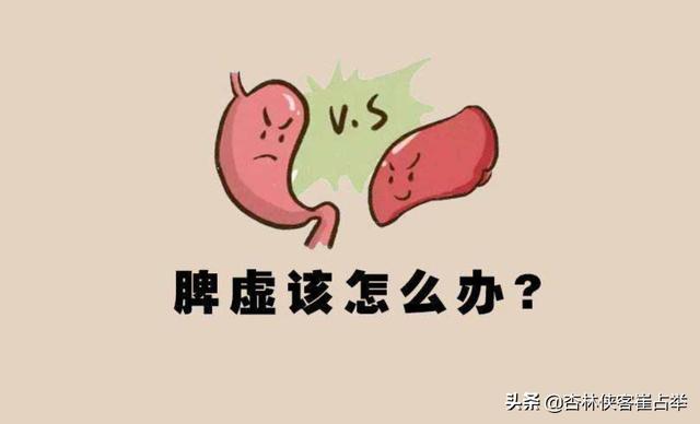 手凉、脚也凉？一剂四君子汤，通四肢、补脾气，温暖手脚