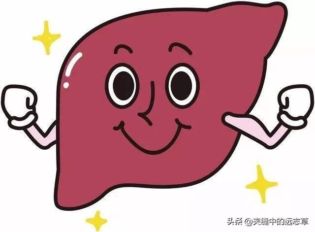 目昏，目干，迎风爱流泪？送你八味中药，养心神，补肝肾