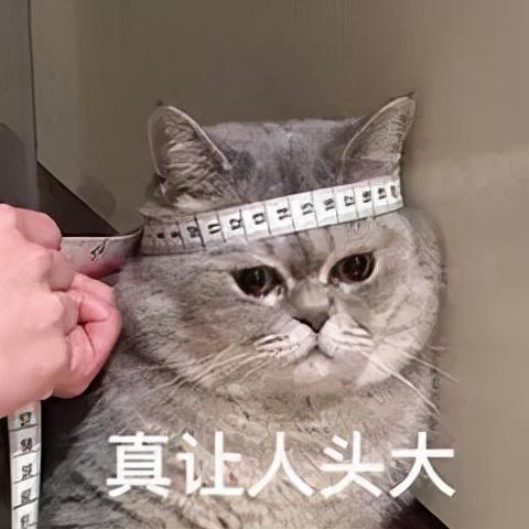 失眠吃酸枣仁没效果？可能是你吃法错了