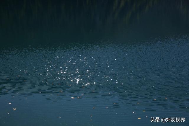 九寨溝之蘆葦海
