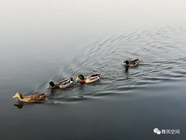 房山牛口峪濕地公園，沒想到風景如此優美