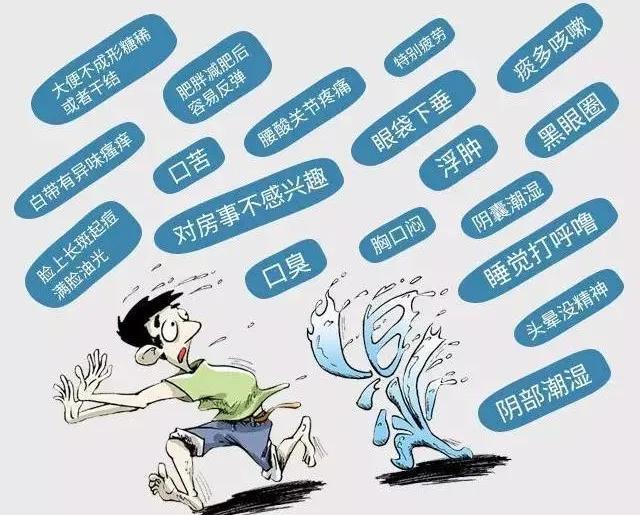 祛湿四神汤，痰湿体质看过来