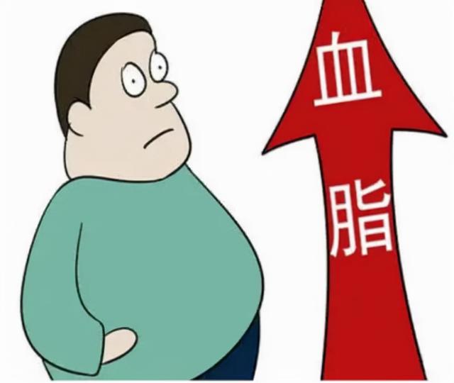 甘油三酯偏高怎么办?日常做好两件事,有助血脂恢复正常