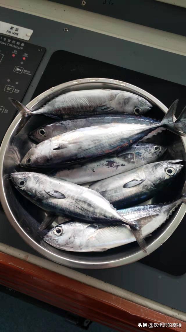 一個中國海漂子的遊記