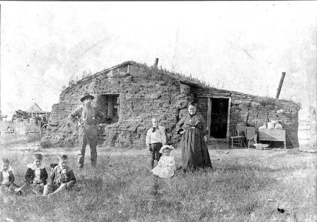 伊夫·邦廷生命教育绘本 | 给世界以温暖，让生命向光生长