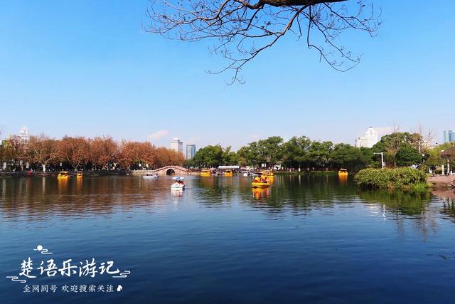 身爲5A景區卻堅持免費，秋色斑斓到處如畫，甯波這個景點讓人驚豔