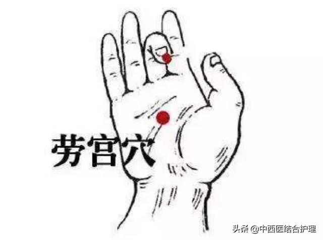 「经络养生科普」十二经筋/经络之手厥阴（心包）筋经