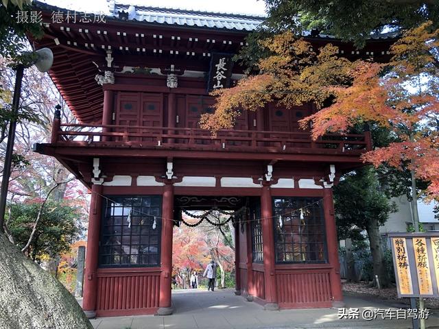 德村志成：落葉殘楓依然美麗，久違北小金本土寺