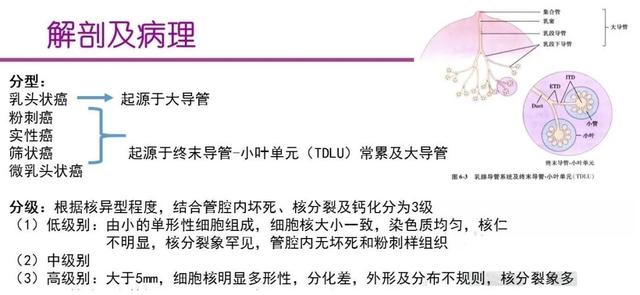 聯合檢查，讓乳腺導管原位癌無處可逃