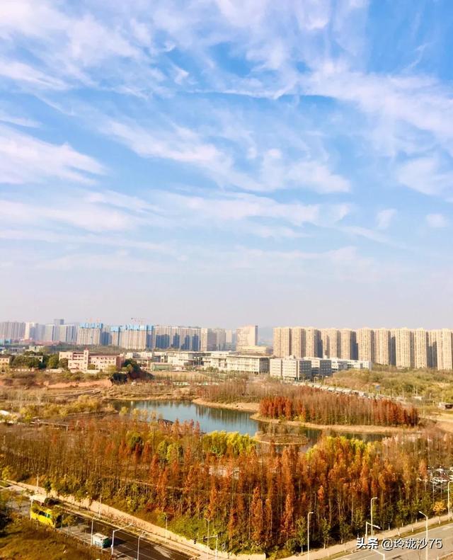 長沙唯一擁有戶外足球場的公園，更有大片水杉美景等你來