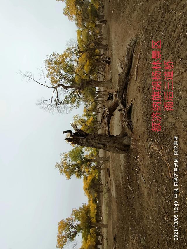 西行漫記之10月5日內蒙古篇