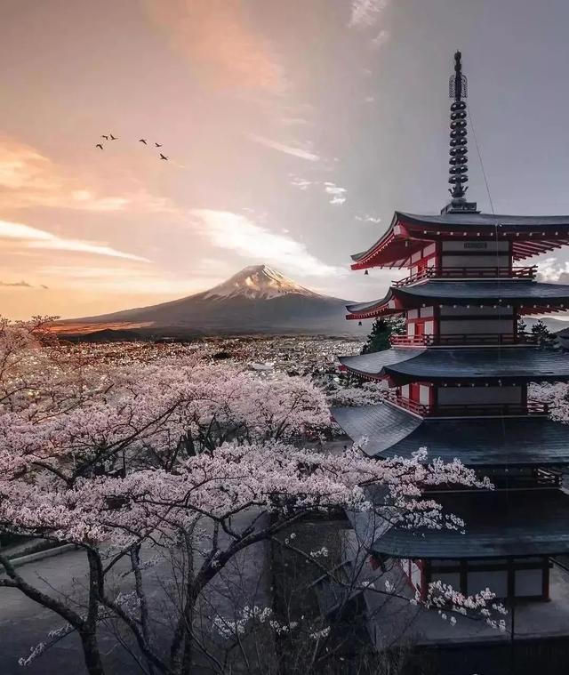 有審美的拍照才叫攝影，忘記遊客照吧，這樣的旅拍才有意思
