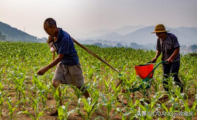 穷人的互联网，富豪的元宇宙？元宇宙区块链NFT学习笔记之八