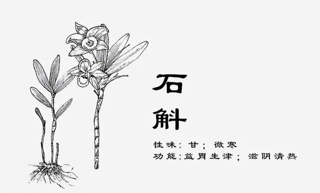 冬季，喝这6种茶最有益