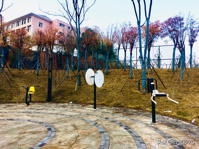 長沙唯一擁有戶外足球場的公園，更有大片水杉美景等你來