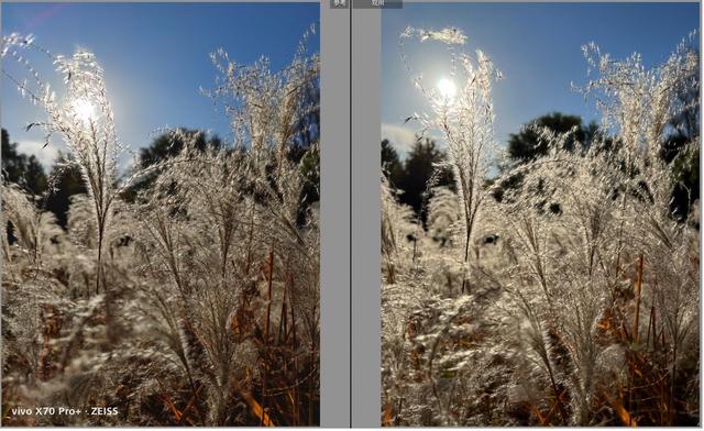 iPhone13ProMax与vivoX70Pro+影像对比，这次国产影像没输